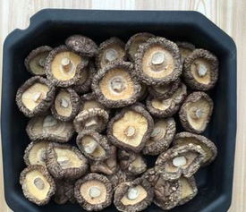 探秘湖北房縣 野生食用香菇的干貨之選與批發(fā)優(yōu)勢